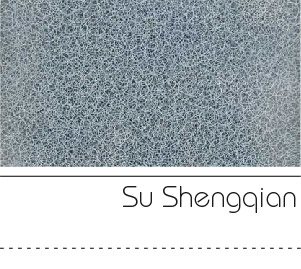 Su Shengqian